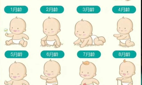 【中药神曲是有什么配成的药】中药寸曲功效和作用 - 中药寸曲又叫神曲吗网